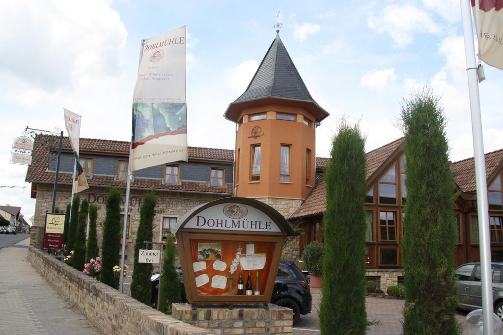 Dohlmuehle Hotel & Weingut Flonheim Kültér fotó