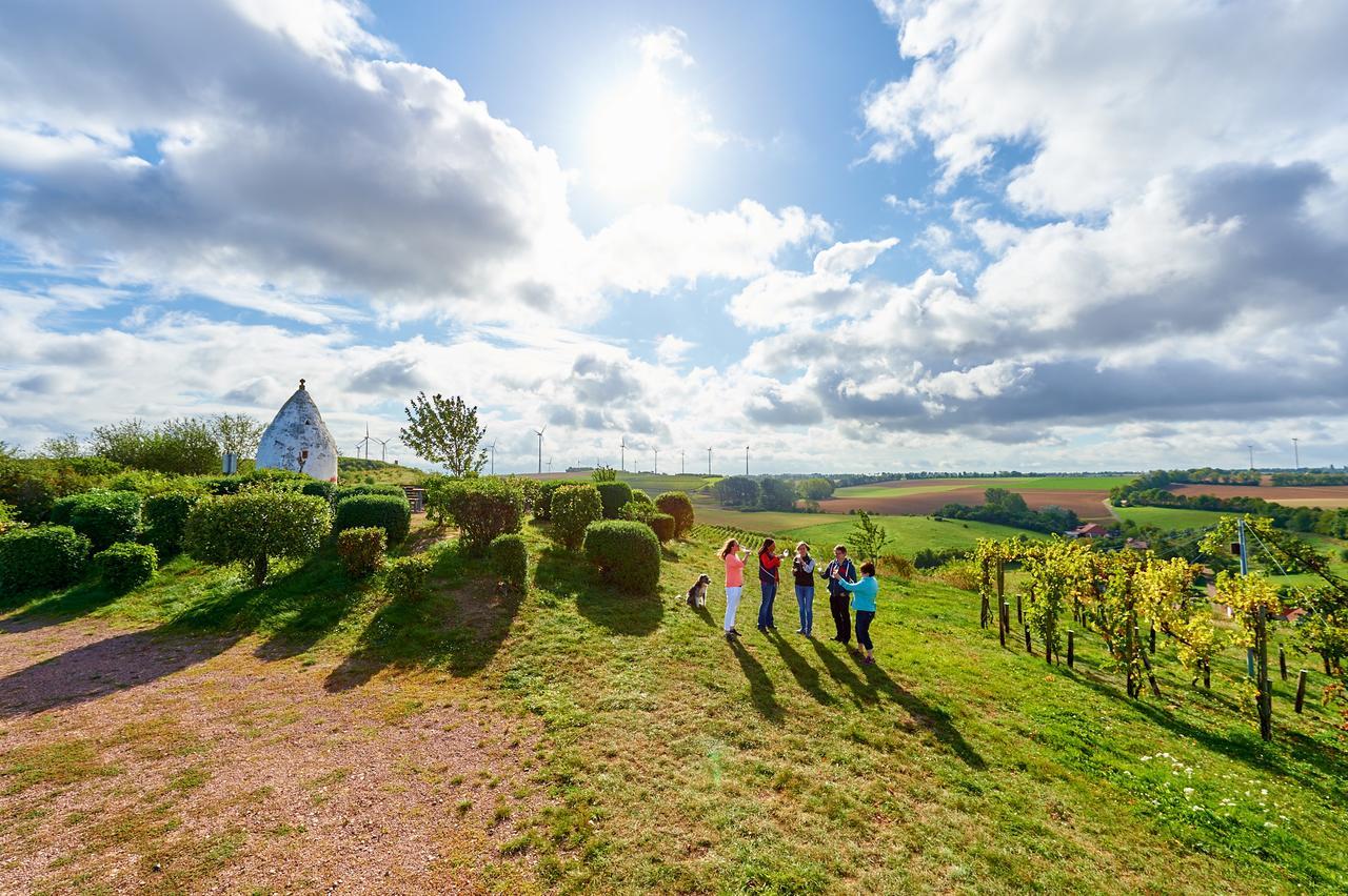 Dohlmuehle Hotel & Weingut Flonheim Kültér fotó