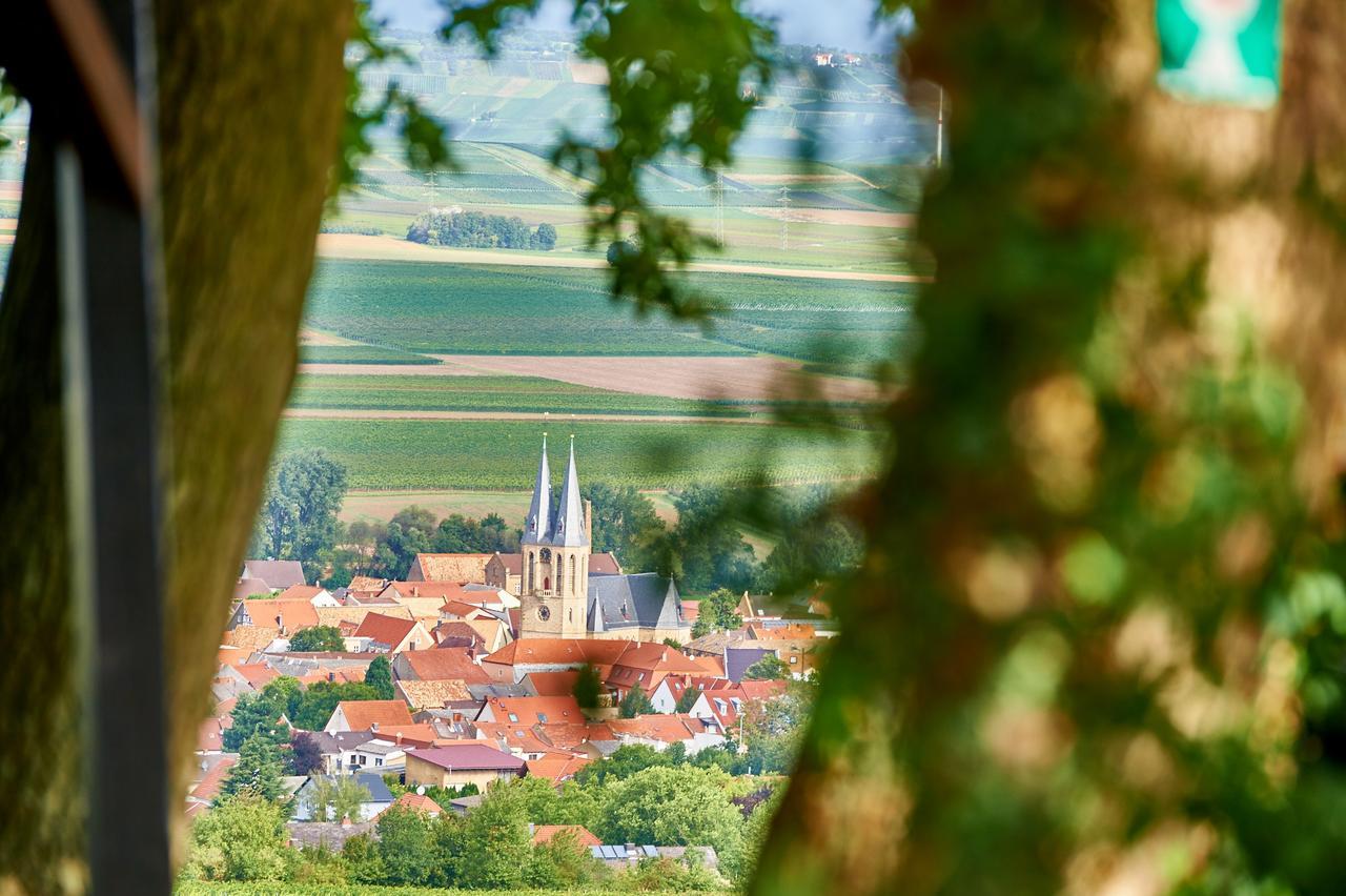 Dohlmuehle Hotel & Weingut Flonheim Kültér fotó