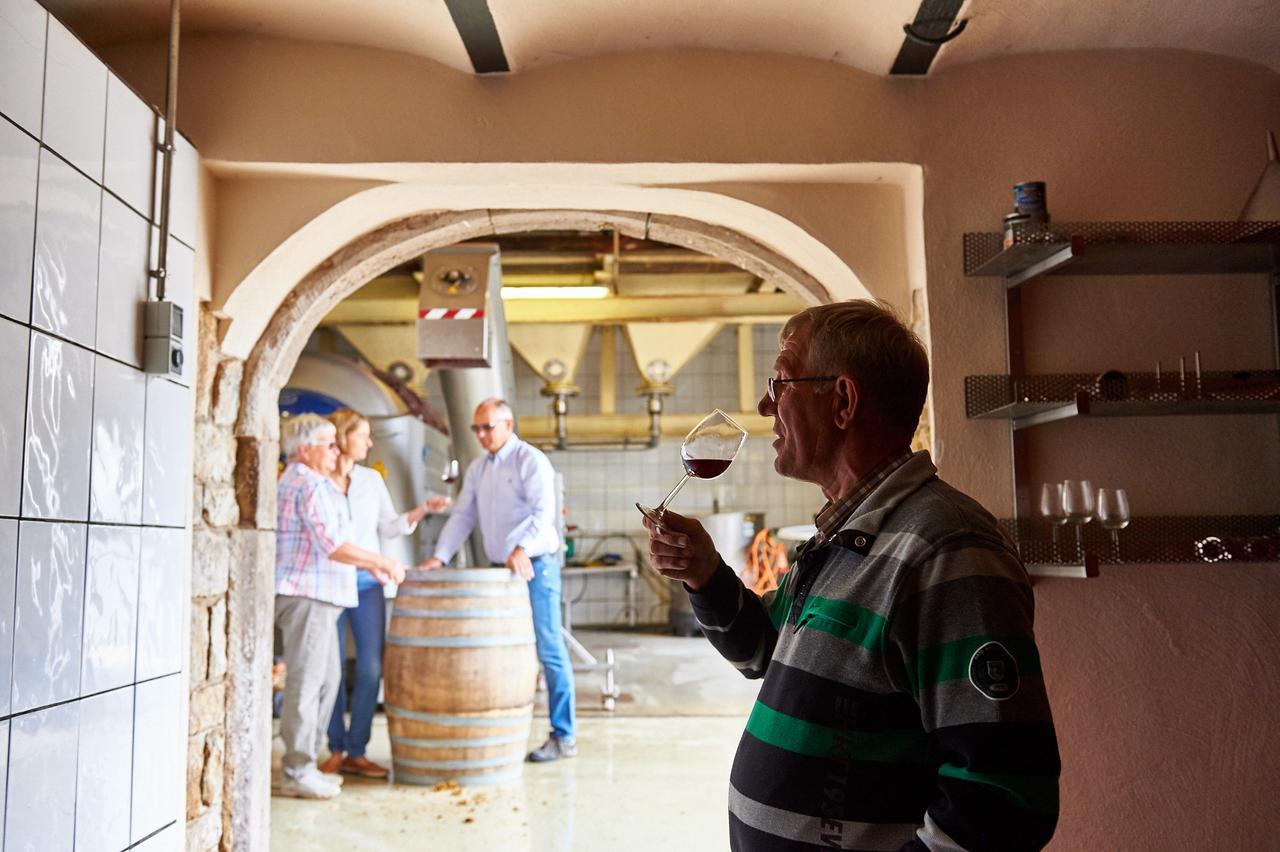 Dohlmuehle Hotel & Weingut Flonheim Kültér fotó