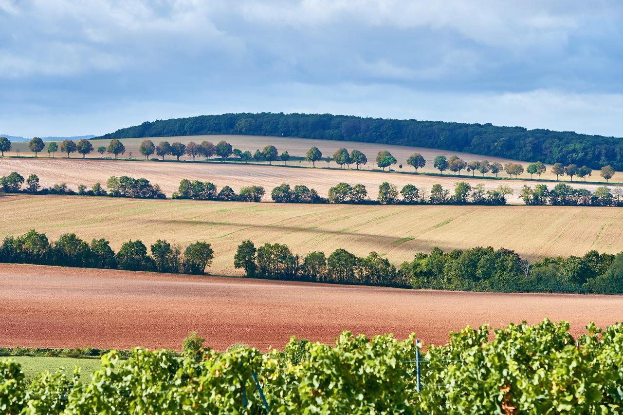 Dohlmuehle Hotel & Weingut Flonheim Kültér fotó