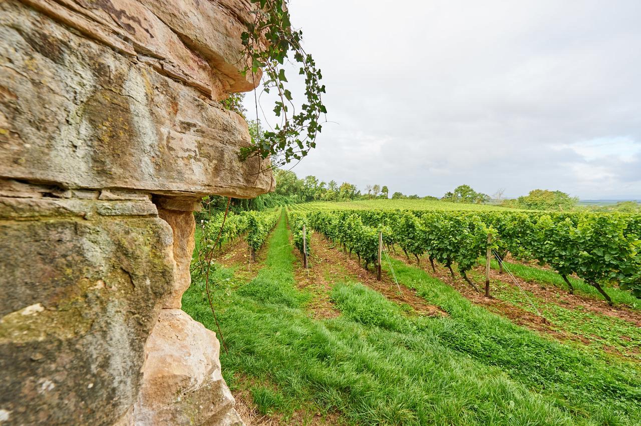 Dohlmuehle Hotel & Weingut Flonheim Kültér fotó